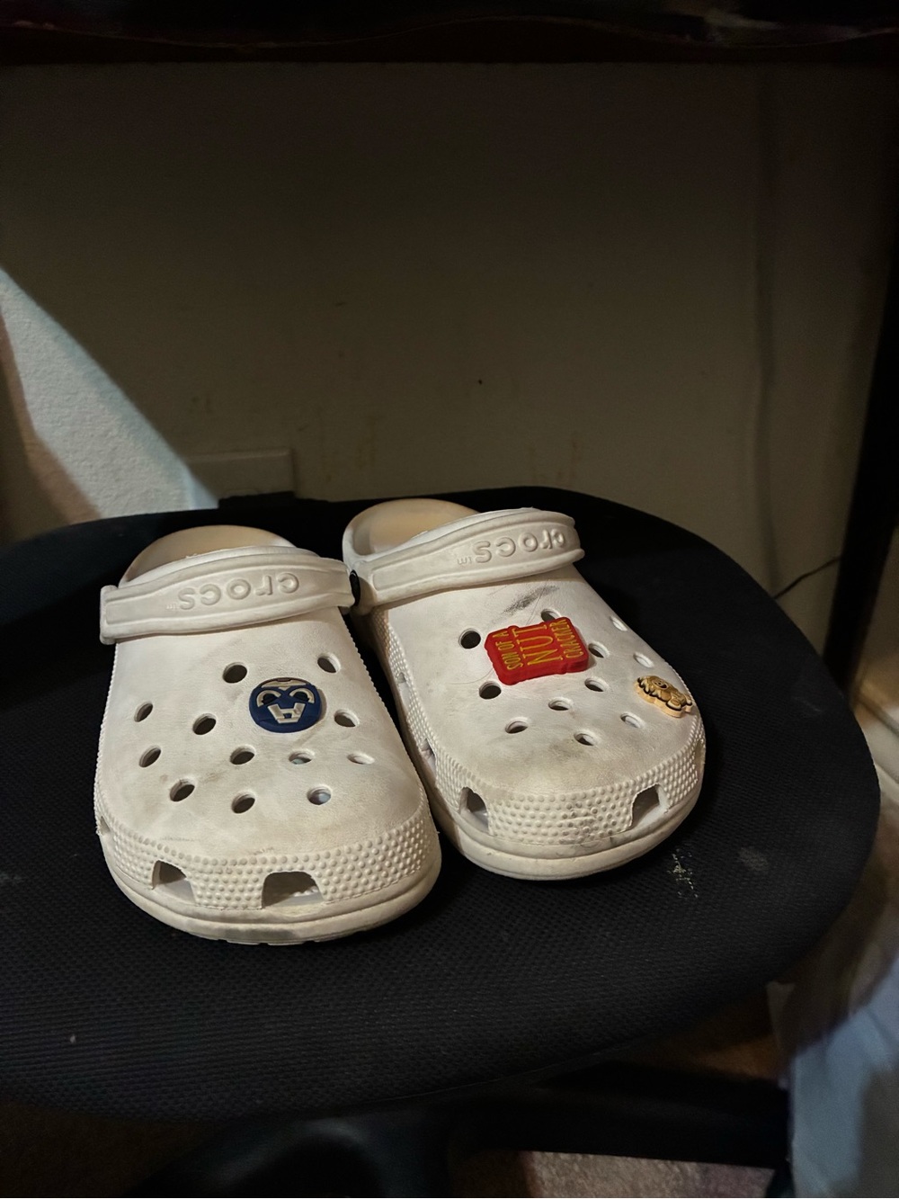 CROCS Kids White Clog with Playful Charms